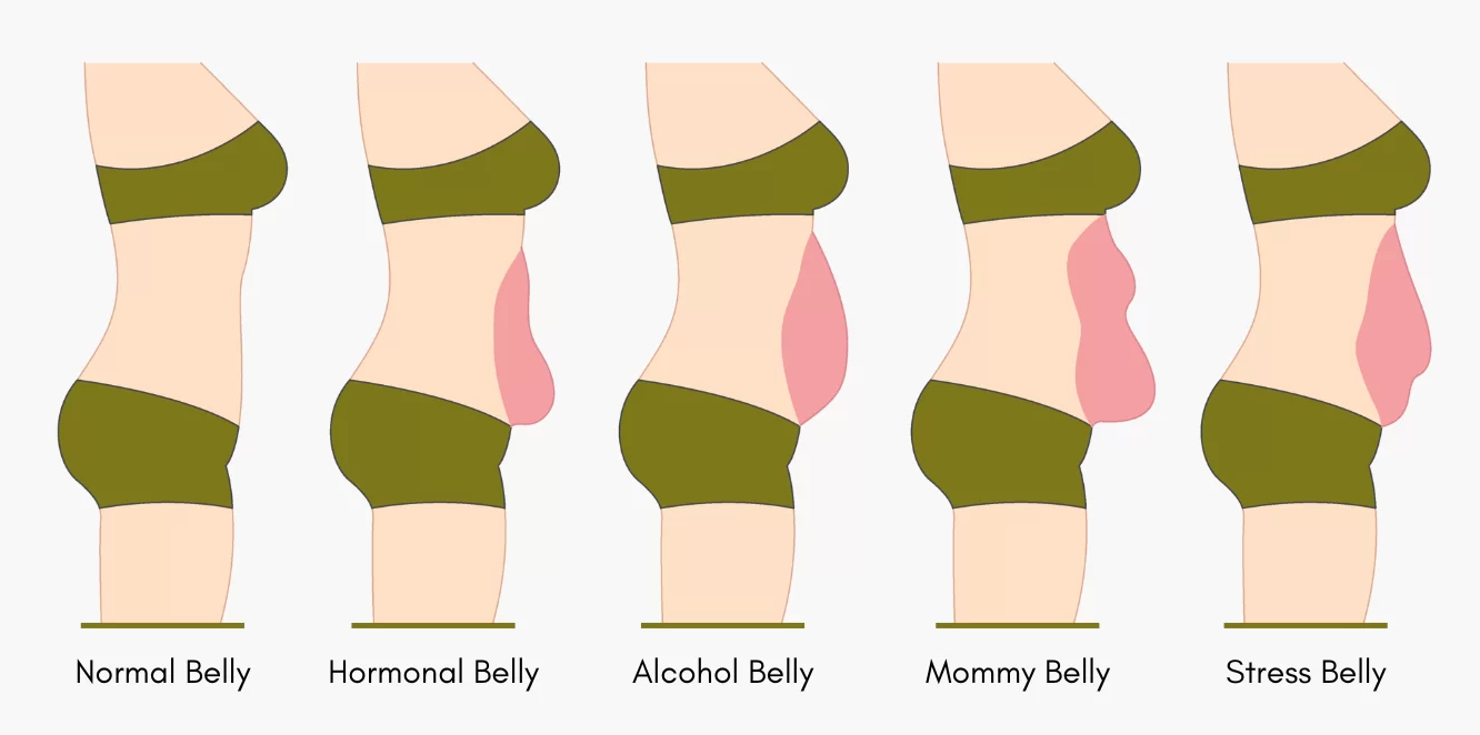 Image for Stress and Belly Fat in Women